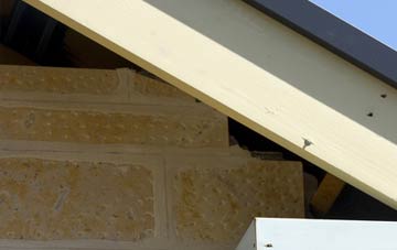 soffit repair Northmostown